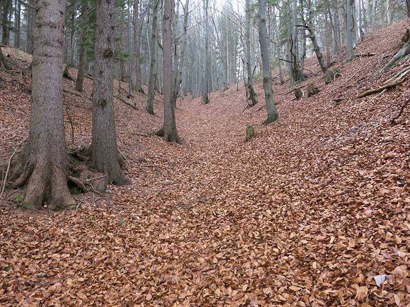 Hohe Wand